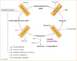 Antidepressiva Und Folsaure