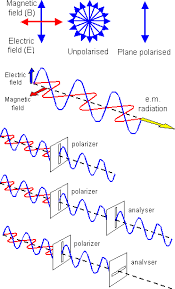 Polarisation A Level Physics A Level Physics Physics And Mathematics Physics