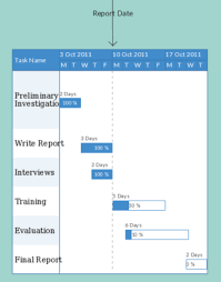 Project Management Tool Gantt Chart Apppm