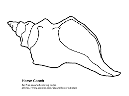 How to draw step by step is an exclusive channel to learn drawing step by step and creative skills. Conch Shell Drawing Step By Step