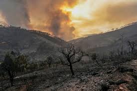 São brás de alportel, tavira, mirandela, macedo de cavaleiros. Portugal 30 Bomberos Heridos Y Cientos De Desalojados En Un Incendio En El Algarve Publico