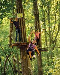 Swing Through The Trees Spaces Kc Kansas City Kansas Adventure