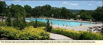 Maybe you would like to learn more about one of these? The Olympic Size Pool Is Perched On The Rim Of The Gorge And Provides A Fantastic View Of The Surround Watkins Glen State Park New York State Parks State Parks