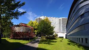 Die autorin zeichnet ein beklemmendes bild des spätmittelalters. Inselspital Wikipedia