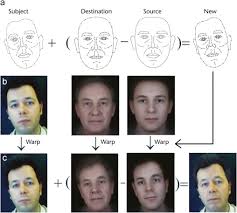 A place to watch age progression found in in other stuff besides cartoons, movies or tv show. Age Progression Current Technologies And Applications Sciencedirect