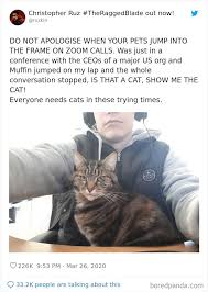 Some people are logging on to entertain themselves, but a lot of people have to join virtual meetings for work or online classes. 35 Quarantine Conference Calls Gone Hilariously Wrong Bored Panda