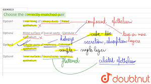 Maybe you would like to learn more about one of these? Choose The Correctly Matched Pair Biology Q A Doubtnut
