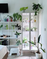 New View In My Bedroom Got A Greenhouse Installed For Those Gorgeous Humidity Loving Babies Info Ikea Mils Ikea Plants Indoor Greenhouse Cute Room Ideas