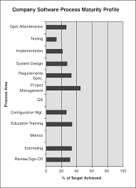 1 company process maturity chart download scientific diagram