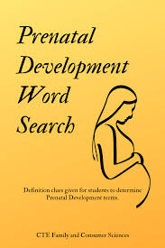 Prenatal Development Word Search Prenatal Development Family And Consumer Science Child Development Teaching