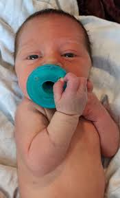 Image result for Harlequin Color Change