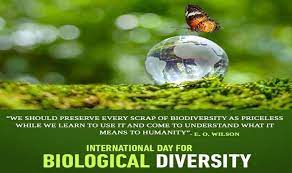 The international day for biological diversity. International Day For Biological Diversity 2020 Share These Beautiful Quotes With Family And Friends To Raise Awareness About Threats To Biodiversity And How To Curb Them
