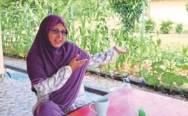 Fra wikipedia, den frie encyklopedi. Jiwa Tani Rosyam Nor