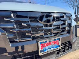 Image result for Blue Stone 2024 Santa Cruz