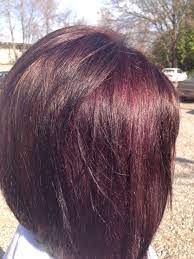 Pin By C C Powell On Health And Beautyyy Peekaboo Hair Hair Color Mahogany Mahogany Hair