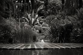 صور انستقرام ابيض واسود روعة بجودة Hd ميكساتك