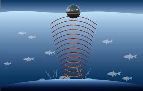 Последние твиты от sonar (@sonarsoftware). Quick Tutorial On How Fish Finder Works