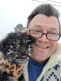 Shorkie dog growth over time