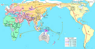 human y chromosome dna haplogroup wikipedia