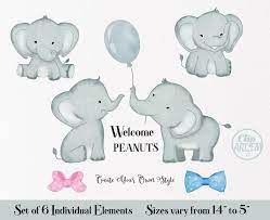 Cute Elephants Clip Art Twins Doubles Watercolor Baby Etsy Elephant Clip Art Clip Art Cute Elephant