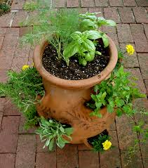 We did not find results for: Le Pot A Fraisiers Un Mini Jardin Pour Les Espaces Reduits Jardinier Paresseux