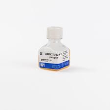 Image result for Amphotericin B