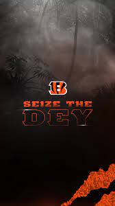 , bengals wallpaper cool images of bengals high resolution 1440×960. Bengals Wallpaper Hd 1080x1920 Download Hd Wallpaper Wallpapertip
