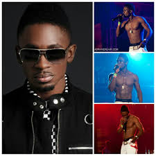 Miss Kitty The Fluffy Diva