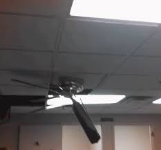 Imgflip pro basic removes all ads. Funny Gifs Sorry I Am Not Self Power I M Sorry Gif Vsgif Com