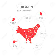 Common cuts of raw chicken the images below represent some of the cuts of raw chicken most commonly encountered in retail stores. Butcher Shop Concept Vector Illustration Chicken Cuts Animal Parts Diagram Royalty Free Cliparts Vectors And Stock Illustration Image 60047562