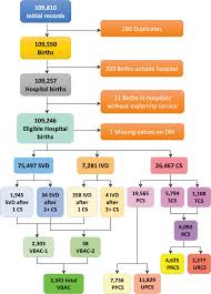 Understanding Factors Leading To Primary Cesarean Section And Vaginal Birth After Cesarean Delivery In The Friuli Venezia Giulia Region North Eastern Italy 2005 2015 Scientific Reports