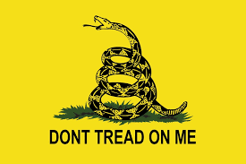 You'll find exactly what you need for reenactments. American Revolution Flags