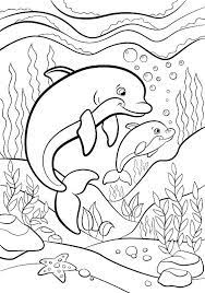 Dolphin Coloring Pages Dolphin Coloring Pages Mermaid Coloring Pages Ocean Coloring Pages