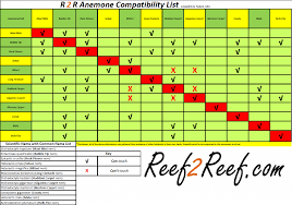Anemone Compatibility Spreadsheet Reef2reef Saltwater And