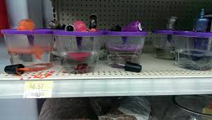 My betta fish #fishblr #aquablr #fish memes #fishkeeping community #aquarium memes #please this is vital help a poor struggling meme dealer in these trying times #i've been scouring the tags but tumblr's search function is useless. My Local Walmart Someone Color Coordinated The Betta Fish With The Nail Polish Dead Fish Imgur