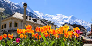 Chamonix is connected to the valley by a highway and a small railway line. Mont Blanc Chamonix Tourist Office Mountain Activities Accommodation Sports In Chamonix French Alps