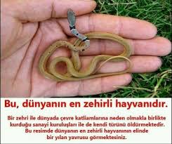 Anlamli Ve Dogru Ilham Veren Sozler Gercekler Komik