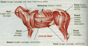 Rates Ansteads Deer Processing For Indiana Ohio And Michigan