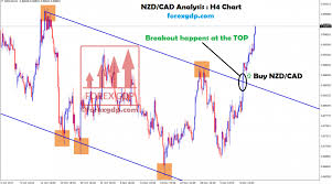 Live Currency Charts Archives Forex Gdp