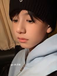 Phùng Tuyết Nhã Lâm Tử Diệp