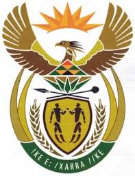 Image result for Droguetia ambigua