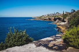 Sydney Coogee To Maroubra Coastal Walk Trenerry Reserve Is A Nice Flat Peaceful Area Where Locals Take Their Dog Sydney Travel Sydney Photography Instagram