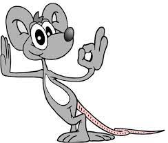 All types of pest control services. A Liminate Pest Control Service Ozone Park Facebook
