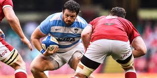 Jun 29, 2021 · the springboks play their first test match in 20 months under nienaber when they take on georgia in pretoria on friday night while the touring lions are set to open their schedule in johannesburg this saturday against the former super rugby lions. Xjprxnqeu5glym
