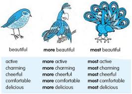 Semoga bermanfaat bagi sahabat ibi (ilmubahasainggris.com). English Grammar Pengertian Superlative Adjective Dan Contohnya