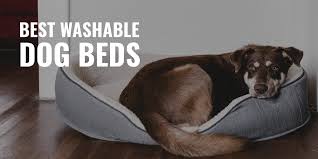 Your dog will definitely appreciate it. 7 Best Washable Dog Beds Material Warranty List Faqs
