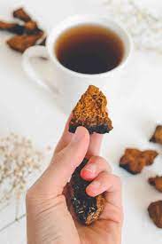 Check spelling or type a new query. Chaga Tea Why Chaga Is The King Of Medicinal Mushrooms