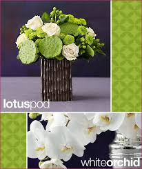 Is a diversified media and merchandising company founded by martha stewart and owned by marquee brands. Martha S New Flowers Hostess With The Mostess
