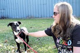 View available dogs, cats, rabbits, horses and more. In The Doghouse Vermont Considers More Oversight Of Animal Shelters Politics Seven Days Vermont S Independent Voice