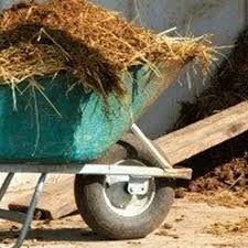 Le fumier de cheval convient très bien aux patates et maïs. Pourquoi Le Fumier De Cheval Est Un Engrais Efficace Conseil Jardin
